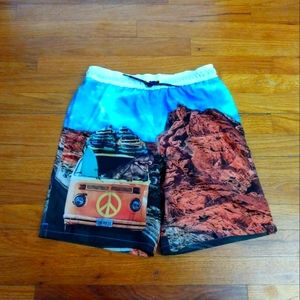 NWT Wonder Nation Husky Boys VW Volkswagen Van Bus Dinosaurs Swim Shorts Trunks